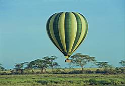Serengeti Ballooning